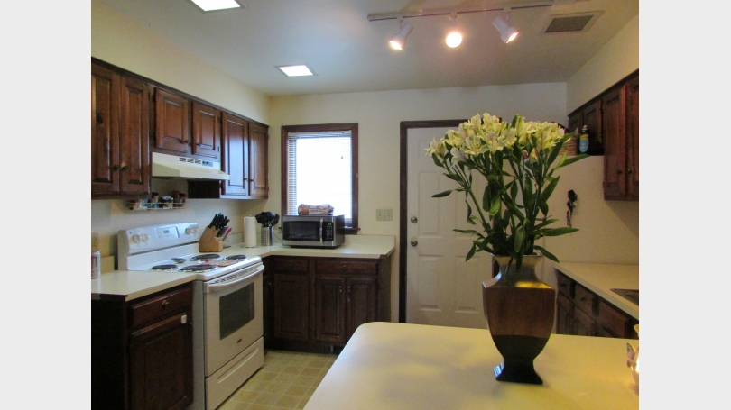 Condo for Rent Kitchen