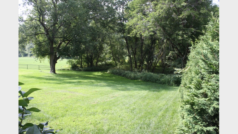 Backyard_Maple_St_Apt