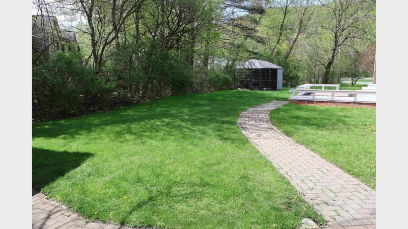 10 M backyard