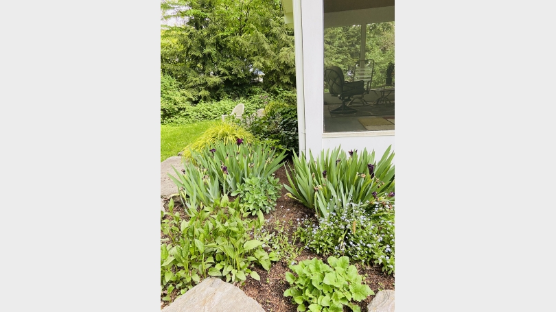 Screened porch