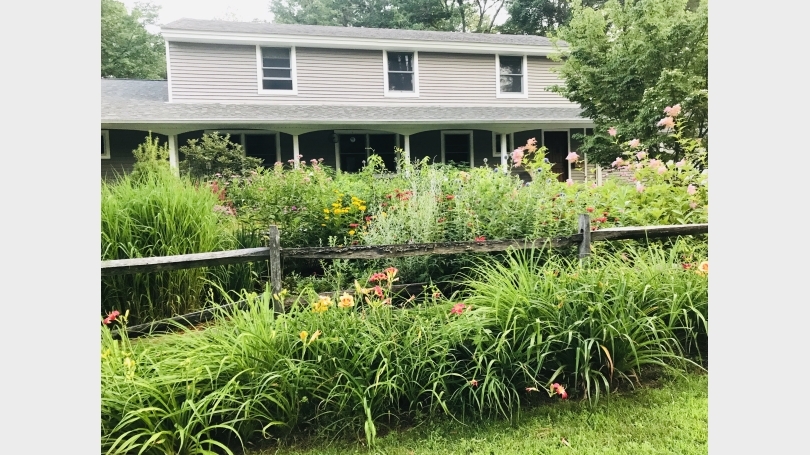 front yard