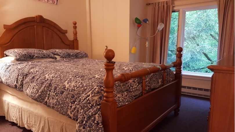 Bedroom (lower level)