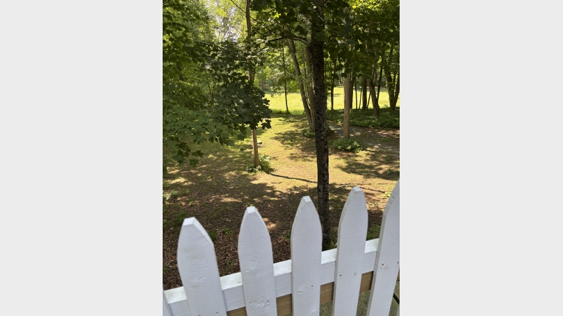 2_field_resize