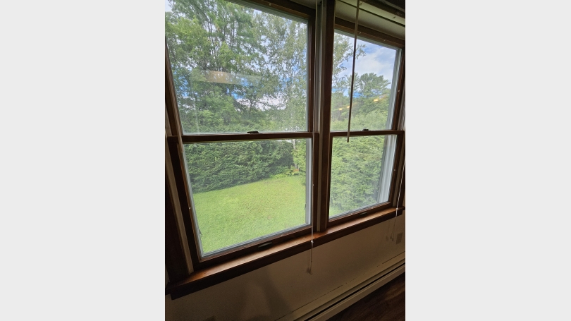 View from windows