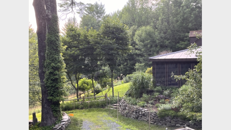 Apartment View