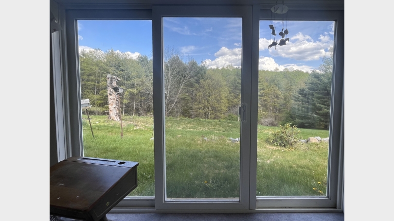 Backyard of the house