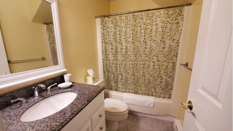 lower level bathroom