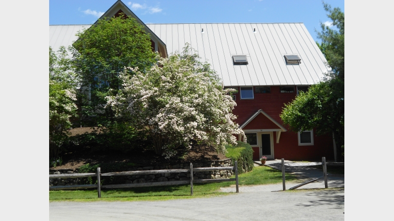 barn hemlock