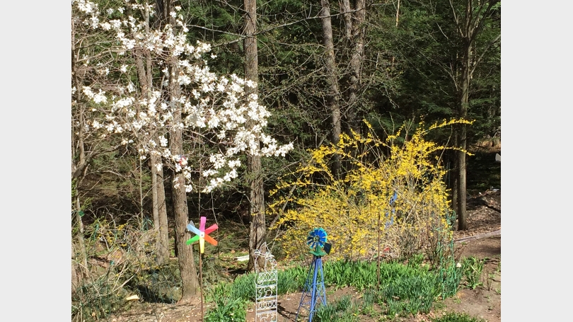 Early Spring Garden