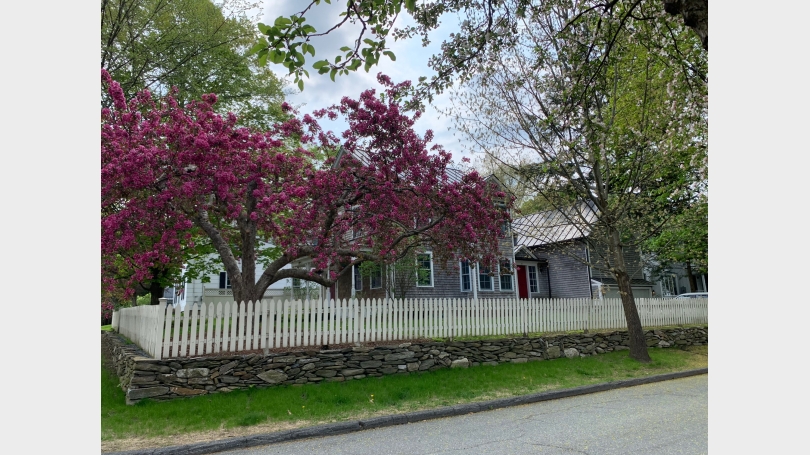 12 Maple Street