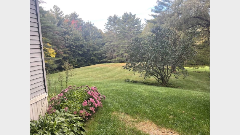 yard