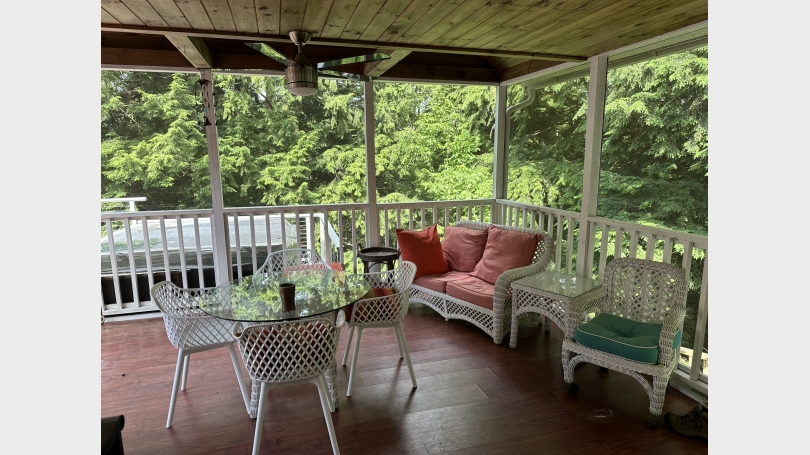 Screened porch with tree house perspective