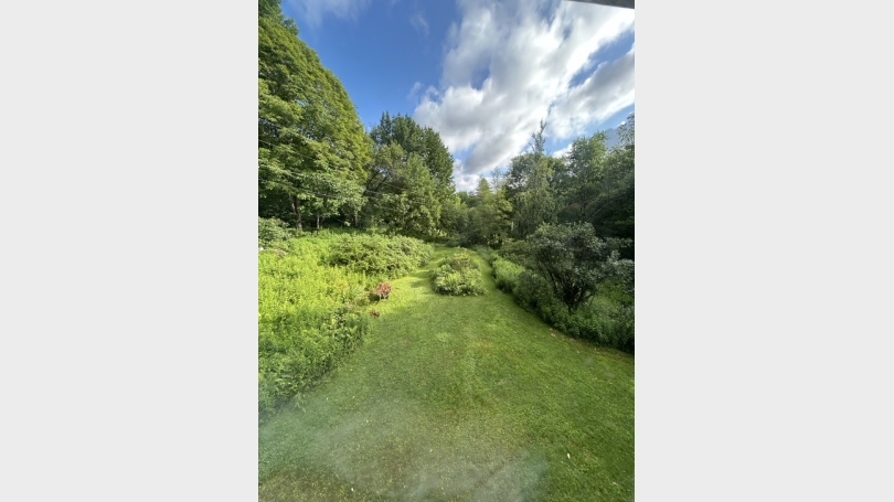 Lawn
