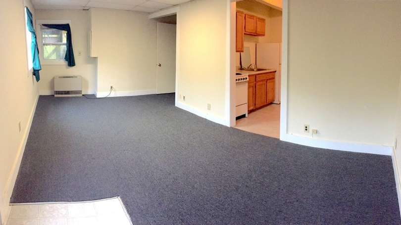 Living/Bed Room