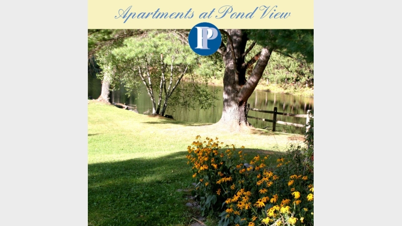 Pond