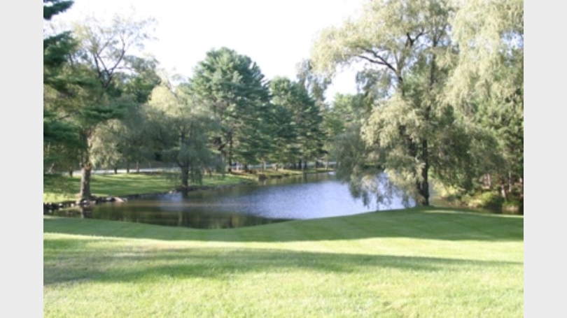 Pond
