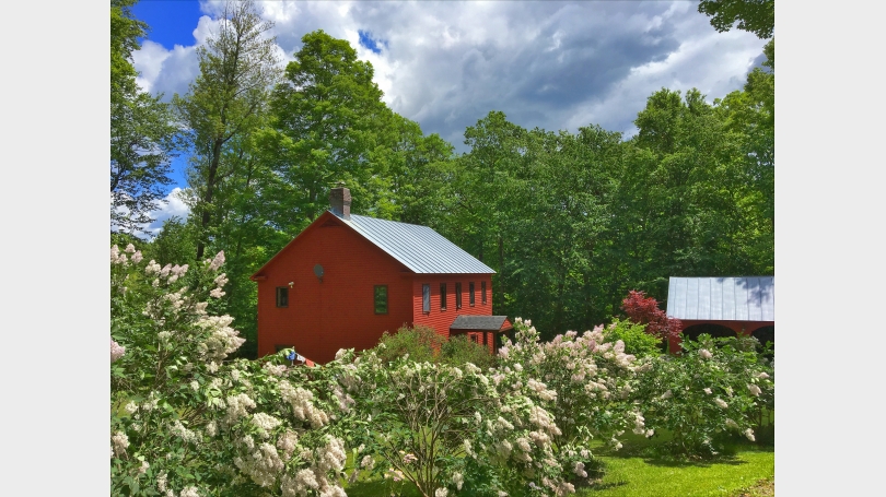 Outside view - lilacs in bloom Big Red House Lilacs